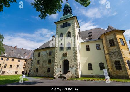 Rymarov (Römerstadt), Castello di Janovice a Moravskoslezsky, Regione Moravo-Slesiana (Regione di Mährisch-schlesische), Repubblica Ceca Foto Stock