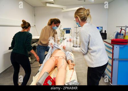 Addestramento alla rianimazione su un defibrillatore fittizio. Foto Stock