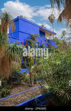 Marocco, Marrakech, Jardin Majorelle, giardino Yves Saint Laurent Foto Stock