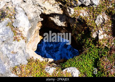 Barbados Ocean e rocce accanto alla Grotta dei Fiori di Animali. Oceano Atlantico. Isola del Mar dei Caraibi Foto Stock