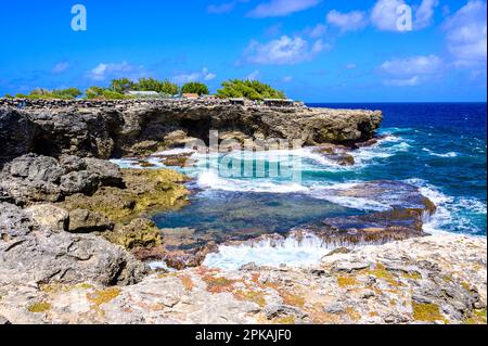Barbados Ocean e rocce accanto alla Grotta dei Fiori di Animali. Oceano Atlantico. Isola del Mar dei Caraibi Foto Stock