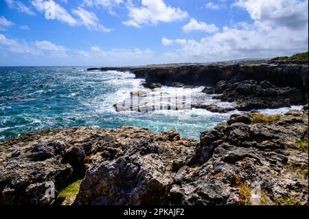 Barbados Ocean e rocce accanto alla Grotta dei Fiori di Animali. Oceano Atlantico. Isola del Mar dei Caraibi Foto Stock