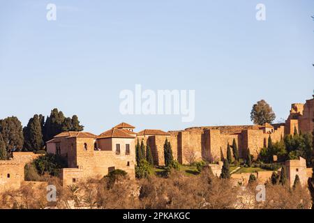 Le mura di Castillo de Gibralfaro sulla collina sopra Malaga, Andalusia, costa del sol, Spagna. Castello fortificazione moor moresco Foto Stock