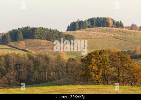 L'Europa, Polonia, Voivodato Podlaskie, Suwalskie / Suwalszczyzna Foto Stock