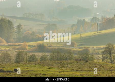 L'Europa, Polonia, Voivodato Podlaskie, Suwalskie / Suwalszczyzna Foto Stock