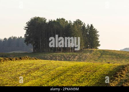 L'Europa, Polonia, Voivodato Podlaskie, Suwalskie / Suwalszczyzna Foto Stock