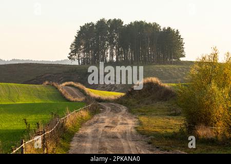 L'Europa, Polonia, Voivodato Podlaskie, Suwalskie / Suwalszczyzna Foto Stock