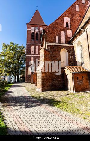 Europa, Polonia, Voivodato di Warmian-Masurian, Paslek Foto Stock