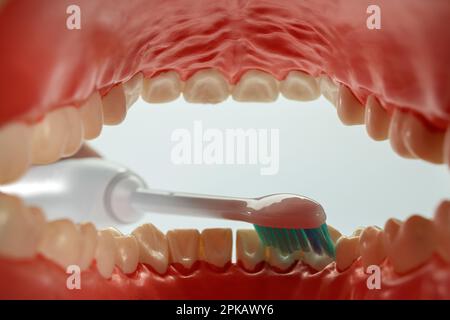 Modello per la cura dentale aperto, cavità orale, testina dello spazzolino elettrico, di Philips Sonicare, spazzolino sonico, dettaglio, immagine icona, denti spazzolanti, cura dentale, sfondo bianco, Foto Stock