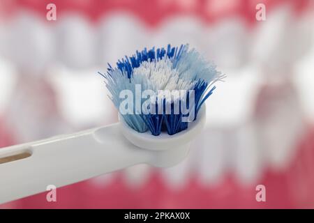 Testina dello spazzolino elettrico usurata, by Oral-B, modello di cura dentale di fondo, dettaglio, immagine icona, spazzola per cambio accessorio, usurata, Foto Stock