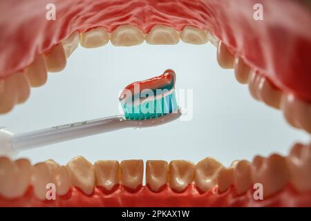 Modello per la cura dentale aperto, cavità orale, dentifricio sulla testa dello spazzolino elettrico, di Philips Sonicare, spazzolino sonico, dettaglio, immagine simbolo, denti spazzolanti, cura dentale, sfondo bianco, Foto Stock