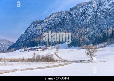 Austria, Tirolo, Kaiserwinkl, Walchsee, Schwaigs, Moorland Schwemm, vista vicino Kapellenteich verso Miesberg Foto Stock