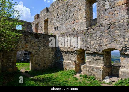 Rovina del castello di Bramberg nel parco naturale di Haßberge, distretto di Haßfurt, bassa Franconia, Franconia, Baviera, Germania Foto Stock