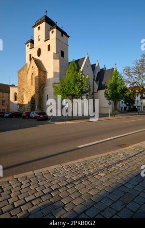 Michaeliskirche Zeitz, Burgenlandkreis, Sassonia-Anhalt, Germania Foto Stock