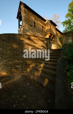 Mura e porte della città a Zeitz, Burgenlandkreis, Sassonia-Anhalt, Germania Foto Stock