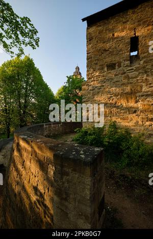 Mura e porte della città a Zeitz, Burgenlandkreis, Sassonia-Anhalt, Germania Foto Stock