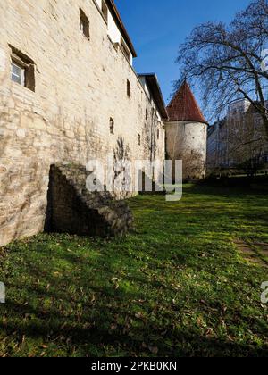 Mura e porte della città a Zeitz, Burgenlandkreis, Sassonia-Anhalt, Germania Foto Stock