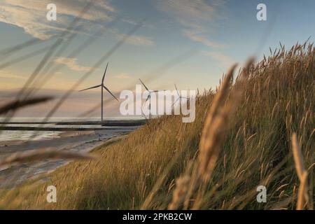 Danimarca, Hvide Sande, costa, mare, turbine eoliche, produzione di energia, sostenibile, transizione energetica, priorità bassa Foto Stock