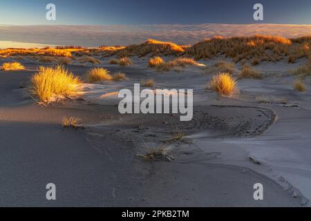 Coastal Impression, Anholt Island, Orkenen, Kattegat, Mar Baltico, Danimarca Foto Stock