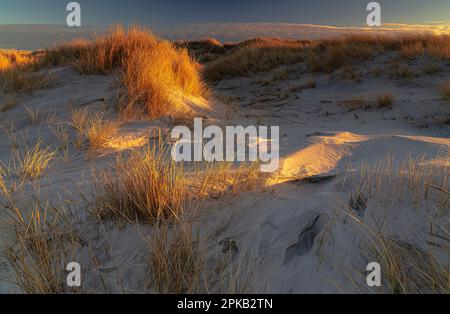 Coastal Impression, Anholt Island, Orkenen, Kattegat, Mar Baltico, Danimarca Foto Stock