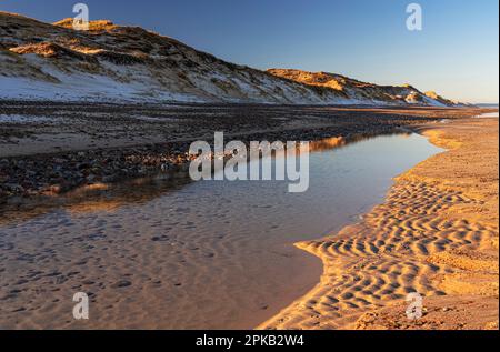 Coastal Impression, Anholt Island, Orkenen, Kattegat, Mar Baltico, Danimarca Foto Stock