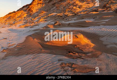 Coastal Impression, Anholt Island, Kattegat, Mar Baltico, Danimarca Foto Stock