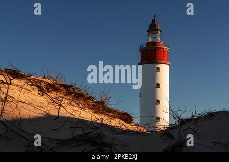 Faro, isola di Anholt, Kattegat, Mar Baltico, Danimarca Foto Stock