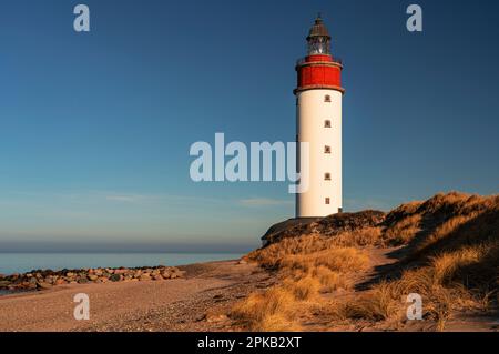 Faro, isola di Anholt, Kattegat, Mar Baltico, Danimarca Foto Stock