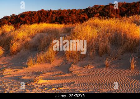 Coastal Impression, Anholt Island, Orkenen, Kattegat, Mar Baltico, Danimarca Foto Stock