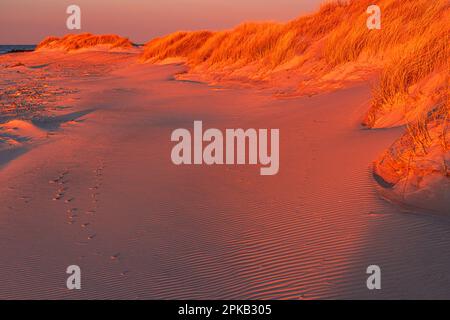 Coastal Impression, Anholt Island, Orkenen, Kattegat, Mar Baltico, Danimarca Foto Stock