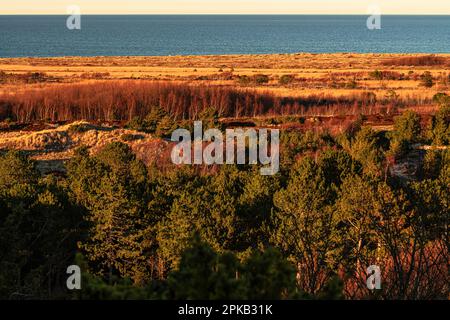 Coastal Impression, Anholt Island, Orkenen, Kattegat, Mar Baltico, Danimarca Foto Stock