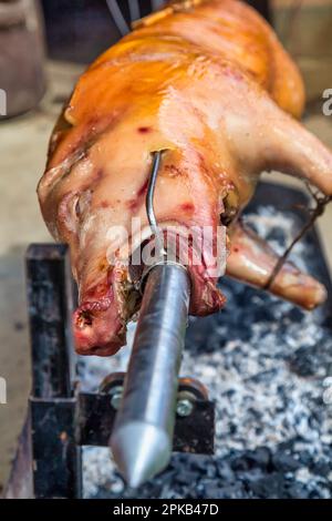 Suzione di maiale su una sputata su legno e carbone. Foto Stock