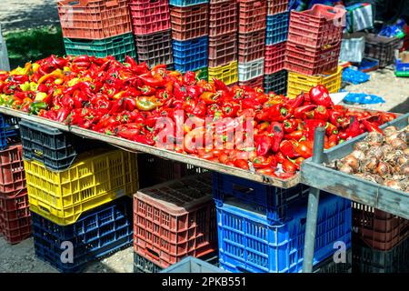 Peperoni rossi marciuti al mercato agricolo, Nikiti, Sithonia, Grecia. Messa a fuoco selettiva. Concetto di salute. Foto Stock