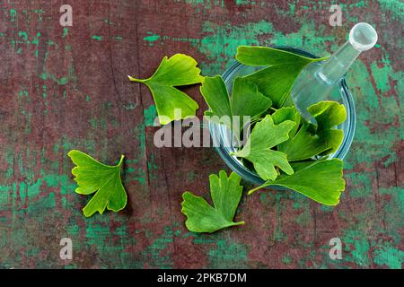 Gingko biloba foglie in un mortaio di vetro su vecchia tavola. Vista dall'alto. Foto Stock