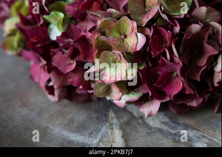 Corona floreale legata da fiori di ortensia rosso scuro e verde, primo piano, dettaglio, decorazione con materiali naturali Foto Stock