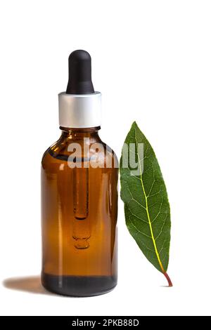 Bottiglia di olio essenziale di alloro. Foto Stock