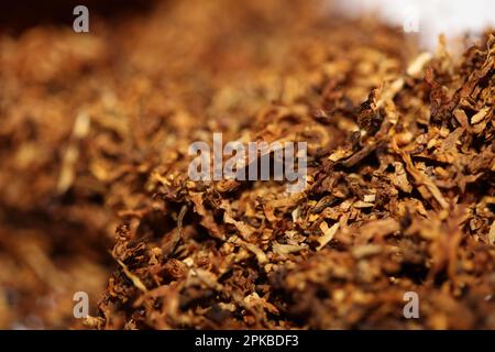 Rolling fogli essiccati del tabacco primo piano sfondo grande formato alta qualità foto di scorta fumo tossicodipendenti sigarette e giunti Foto Stock