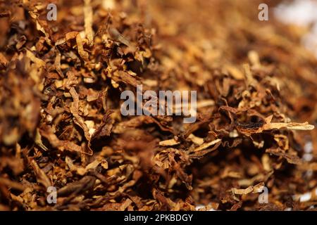 Rolling fogli essiccati del tabacco primo piano sfondo grande formato alta qualità foto di scorta fumo tossicodipendenti sigarette e giunti Foto Stock