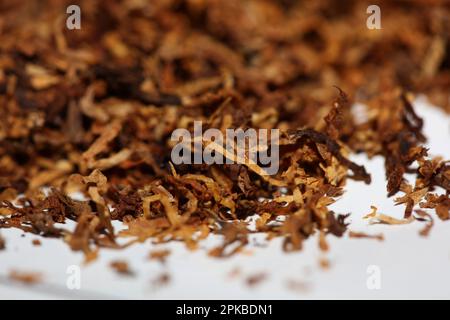 Rolling fogli essiccati del tabacco primo piano sfondo grande formato alta qualità foto di scorta fumo tossicodipendenti sigarette e giunti Foto Stock