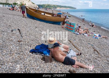 Un pescatore commerciale trascina la sua barca sulla spiaggia di ciottoli passato vacanzieri estivi prendere il sole a Beer Beach, Devon, Inghilterra. Credito: Rob Taggart/Alamy Foto Stock