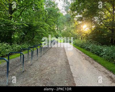Biciclette parcheggiate vicino a stand di metallo nel parco verde Foto Stock