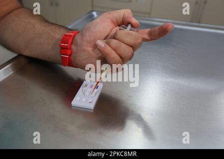 Il veterinario sta facendo un esame del sangue a Istanbul, in Turchia. Foto Stock