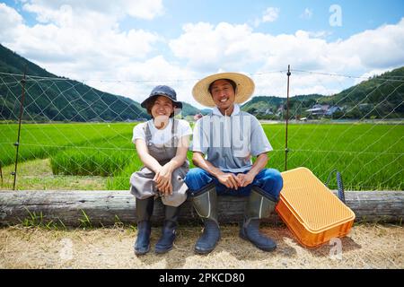 Sorridente uomo e donna seduti sul log di fronte al campo di risone Foto Stock