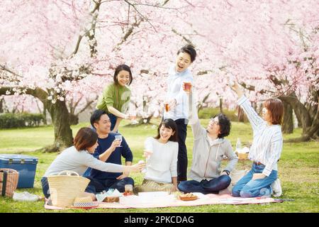 Sette uomini e donne che osservano i fiori di ciliegio Foto Stock