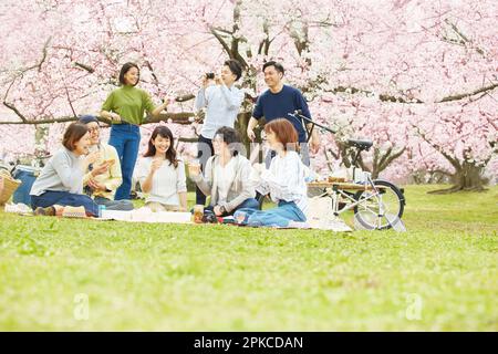8 uomini e donne che osservano i fiori di ciliegio Foto Stock