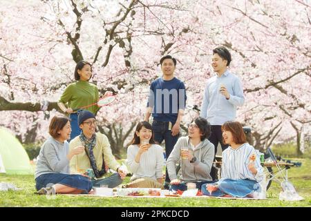 Otto uomini e donne che osservano i fiori di ciliegio Foto Stock