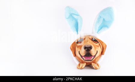 Felice cane Golden Retriever giocattolo vestito con orecchie coniglietto blu. Divertente peluche vacanza di pasqua su sfondo bianco. Concetto di Pasqua. Foto Stock