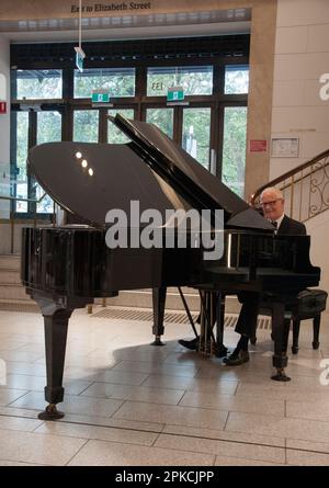 Pianista che suona un pianoforte a coda presso l'esclusivo David Jones Store di Sydney, New South Wales, Australia Foto Stock
