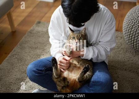 Gatto tenuto dall'uomo Foto Stock