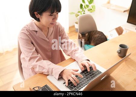 Donna che tocca il computer e gatto sulla sedia Foto Stock